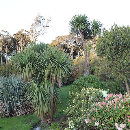 Bed and Breakfast Tui Hideaway Invercargill Exteriér fotografie